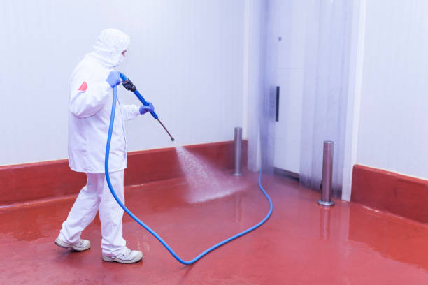 Best Restaurant Pressure Washing  in Gustine, CA